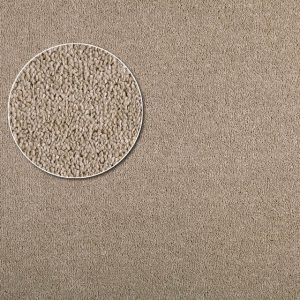 Chaparral - Apartment