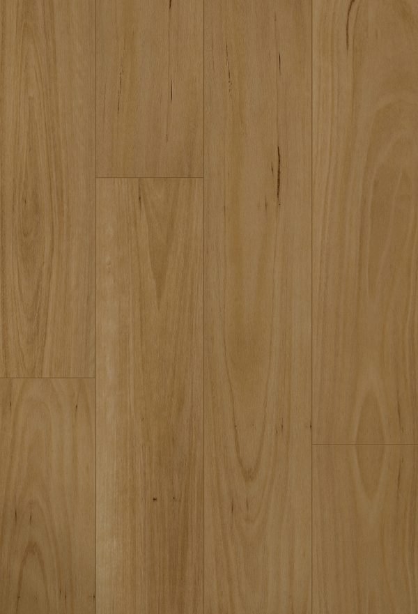 Clever Choice Classic Laminate
