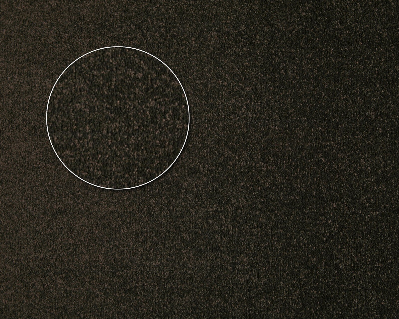 Chaparral - Kingston