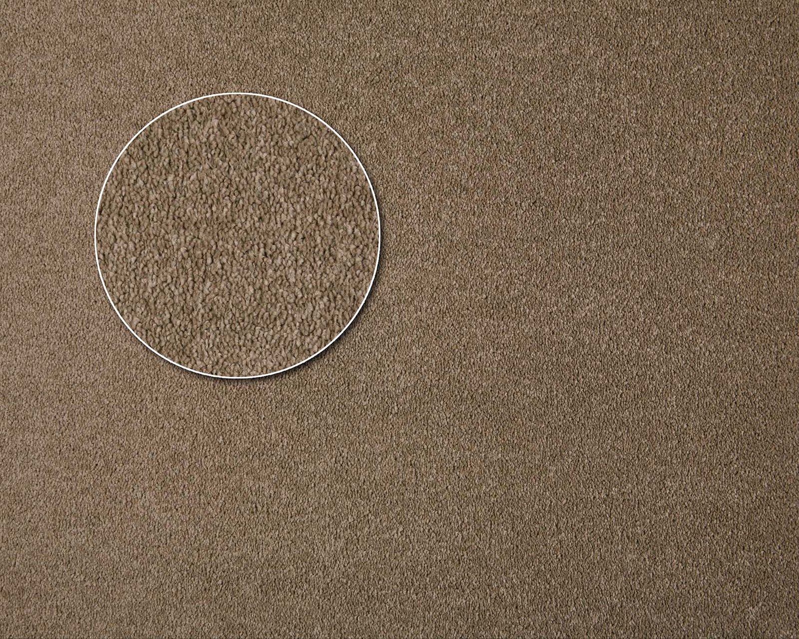 Chaparral - Kingston