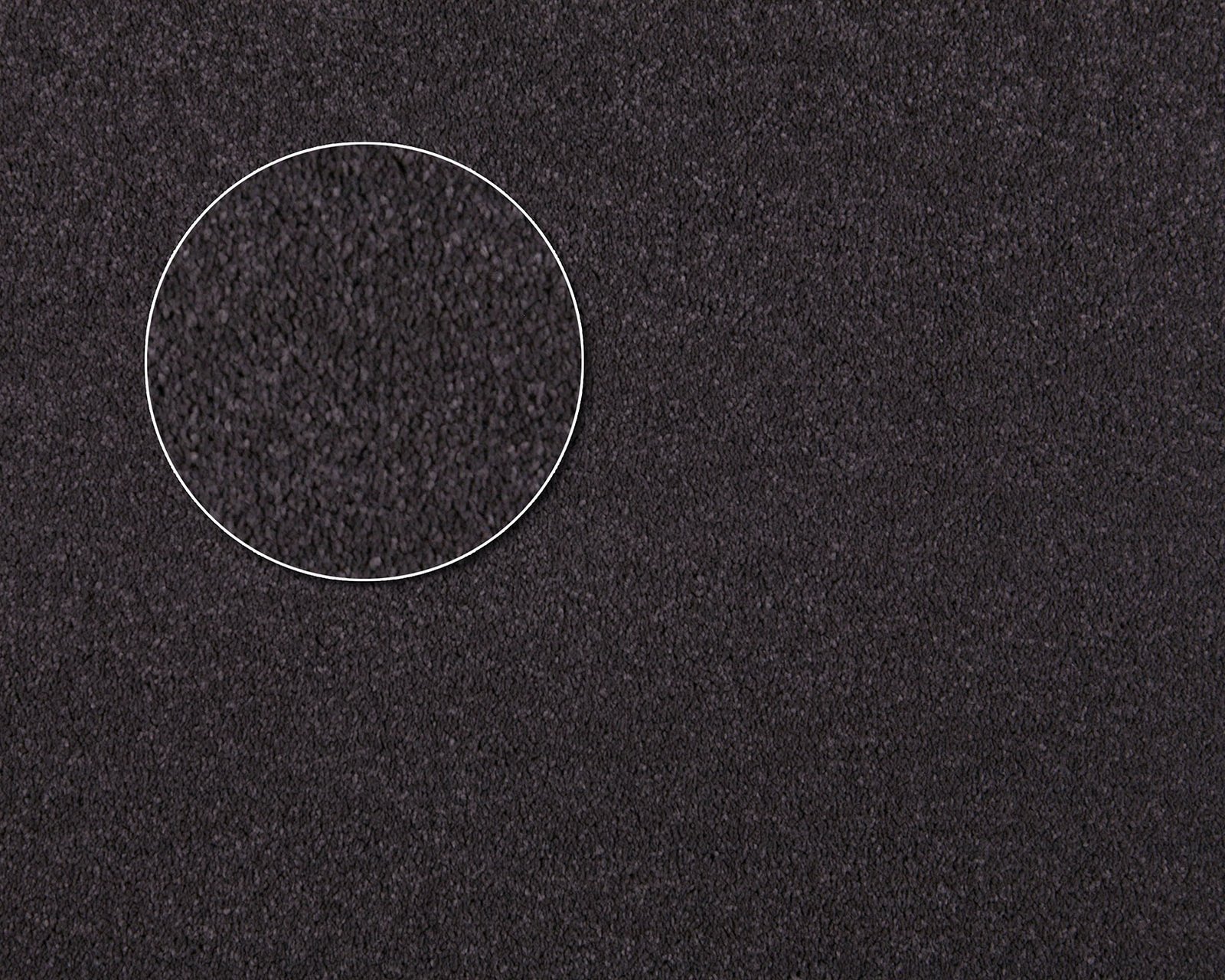 Chaparral - Kingston