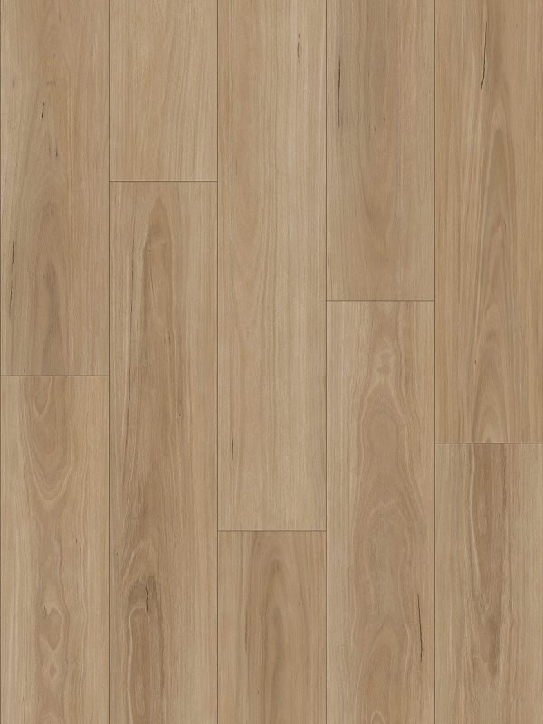 Ornato Urban Hybrid