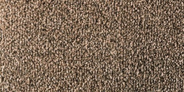 Advantage Flooring - Salsa